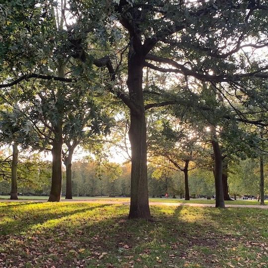 Greenwich Park