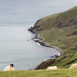 Causeway Coastal Route